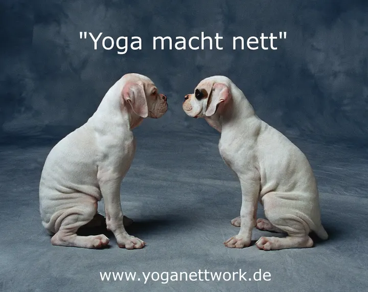 Yoga NettWork Viersen — yoga-studio in Viersen — 3