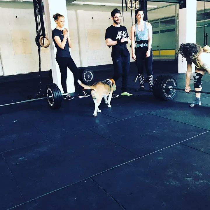 Crossfit Air — crossfit-studio a Mantova — 4