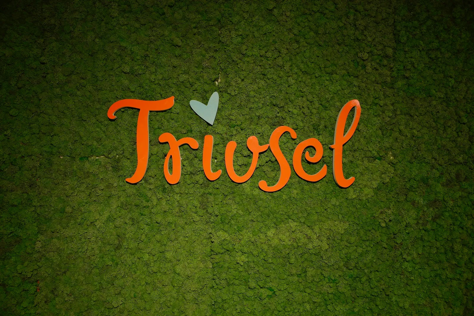 Trivsel — treningsstudio i Leknes — 3