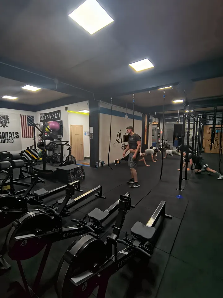 Animals Eleuterio Fitness - Bolognetta — Palestre a Città metropolitana di Palermo