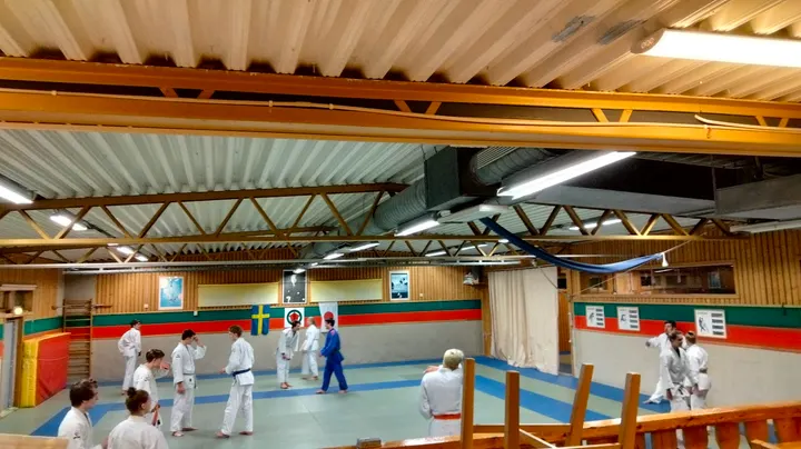 Frölunda Judoklubb — martial arts-studio i Västra Frölunda, Göteborg
