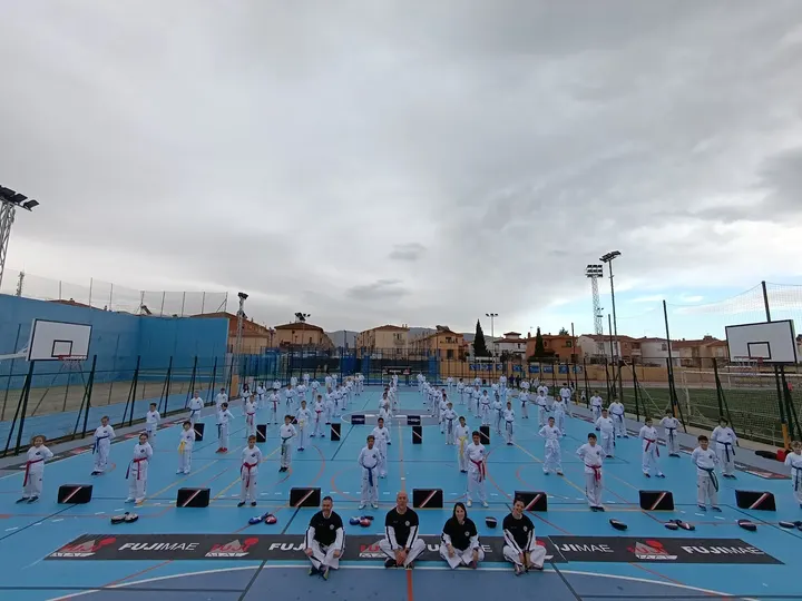 TaekwonDo Sierra Nevada SEDES POR TODA GRANADA Y ALREDEDORES — artes marciales-studio en Churriana de la Vega — 2