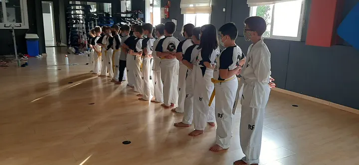 TaekwonDo Sierra Nevada SEDES POR TODA GRANADA Y ALREDEDORES — artes marciales-studio en Churriana de la Vega — 3