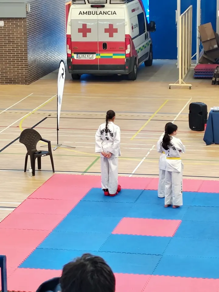 TaekwonDo Sierra Nevada SEDES POR TODA GRANADA Y ALREDEDORES — artes marciales-studio en Churriana de la Vega — 4
