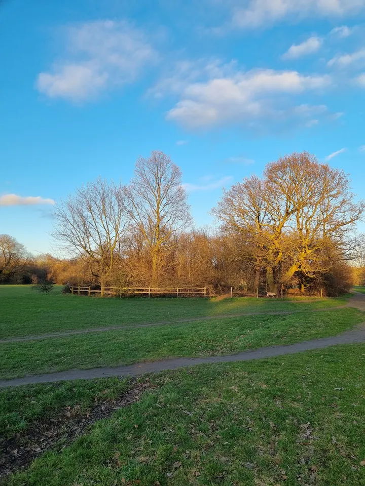 GloriaZumbaZin Tooting Bec Athletics Track — dance-studio in London — 3