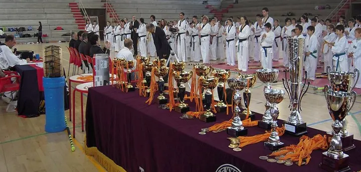 Gimnàs Chois Lee — artes marciales-studio en Eixample, Girona — 2