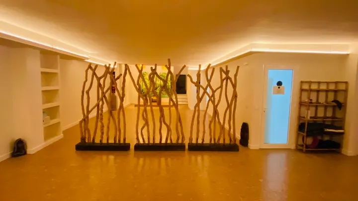 Element Yoga School — yoga-studio en Las Palmas de Gran Canaria — 4
