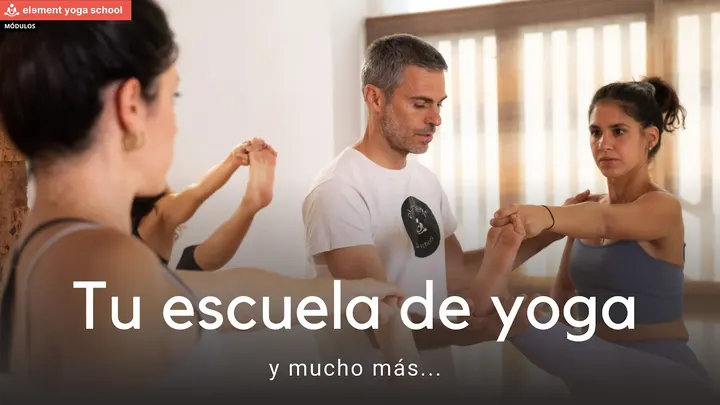 Element Yoga School — yoga-studio en Las Palmas de Gran Canaria — 5