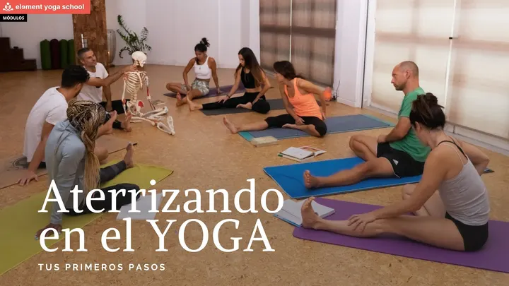 Element Yoga School — yoga-studio en Las Palmas de Gran Canaria — 6