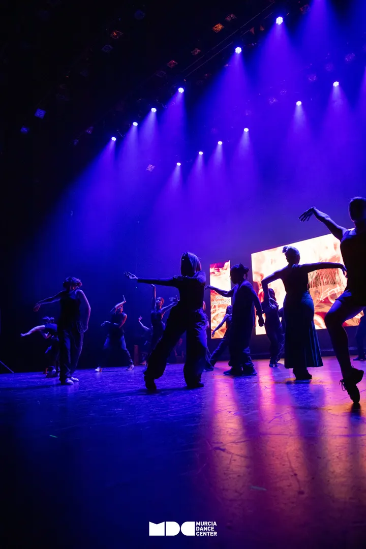 Murcia Dance Center — baile-studio en Murcia — 2