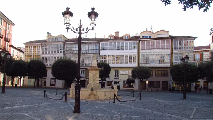 Escuela de Yoga La Casa del Árbol — Yoga en Vadillos, Burgos