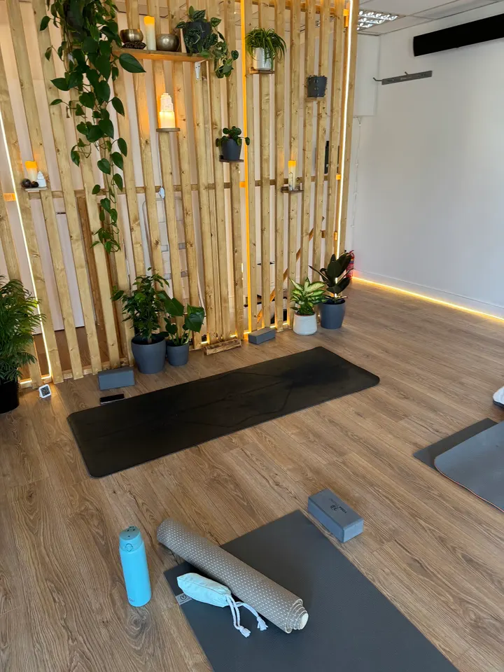 Reignite Yoga — yoga-studio in Racecourse Estate, Alton — 2