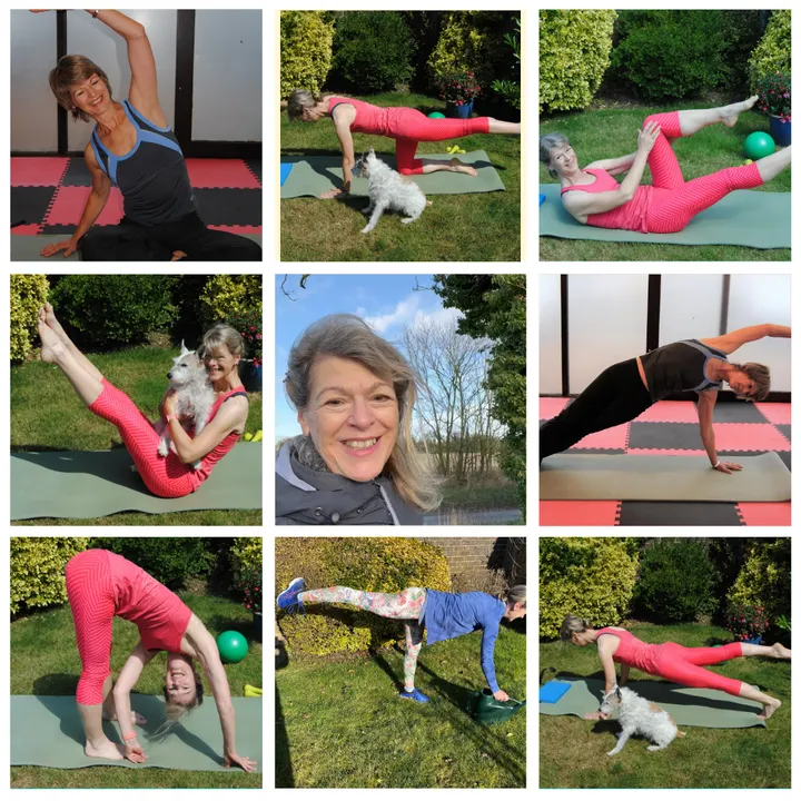 Life Fitness Re-Engineering — strength-studio in Thetford — 3