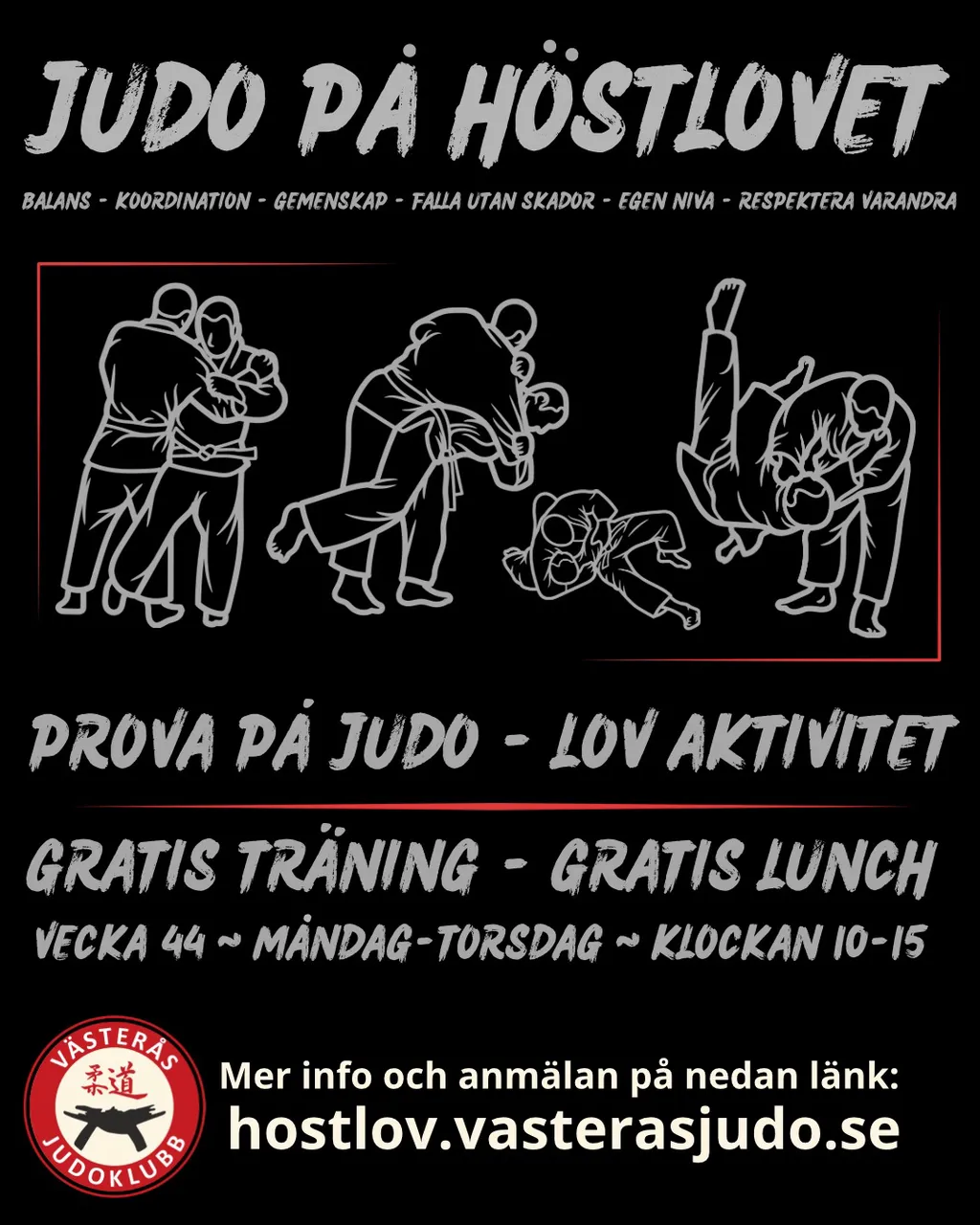 Västerås Judoklubb — kampsport-studio i Lunda, Västerås — bild 2