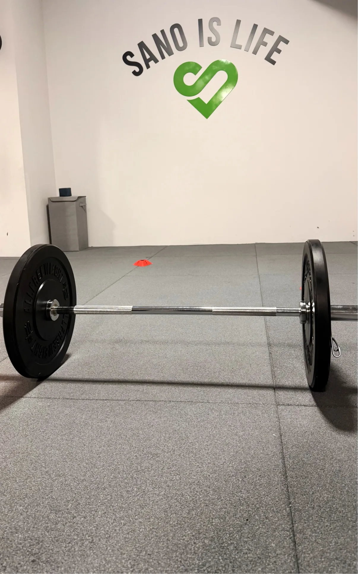 Sano Mad Cañaveral — entrenamiento personal-studio en Vicálvaro, Madrid — 2
