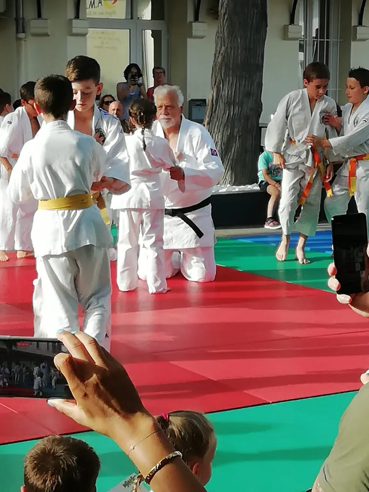Judo Club Du Petit Bosquet — arts martiaux-studio à 12e Arrondissement, Marseille — 2