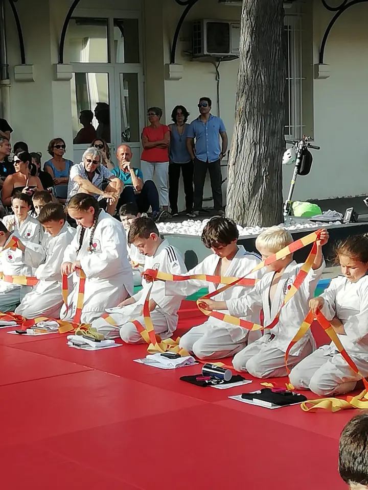 Judo Club Du Petit Bosquet — arts martiaux-studio à 12e Arrondissement, Marseille — 3