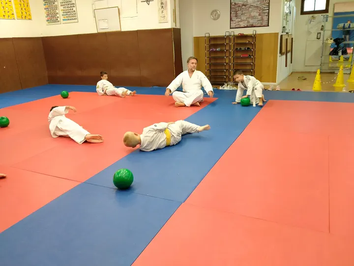 Judo Club Du Petit Bosquet — Arts martiaux à 12e Arrondissement, Marseille
