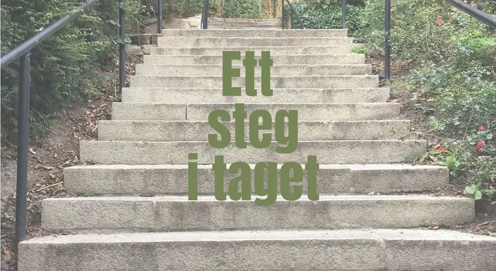 Din LivsstilsResurs Hälsa — pt-studio i Helsingborg — 4