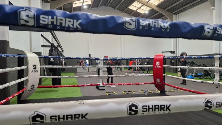 ACADEMIA DE BOXEO BOXCAN — artes marciales-studio en Sector 4, Santander — 3