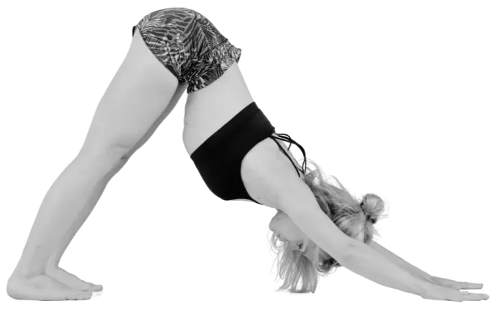Asanatomie 18 Rue du Marais — yoga-studio à Schiltigheim, Strasbourg — 2