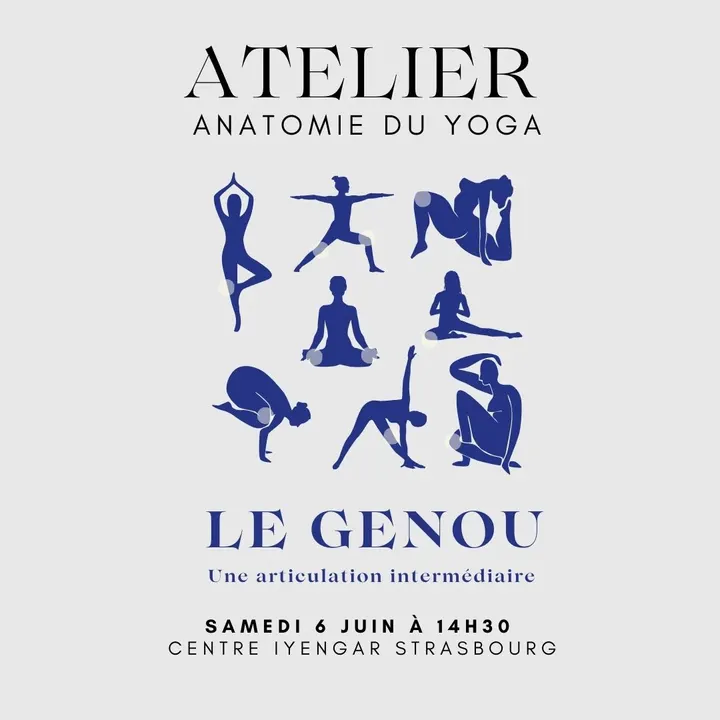Asanatomie 18 Rue du Marais — yoga-studio à Schiltigheim, Strasbourg — 3