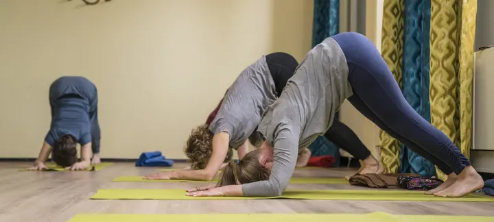 Asana Yoga — Yoga in Centrum, Assen