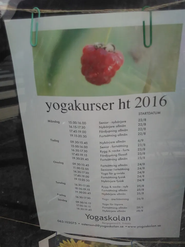 Yogaskolan Östersund — yoga-studio i Hornsberg, Östersund — 2