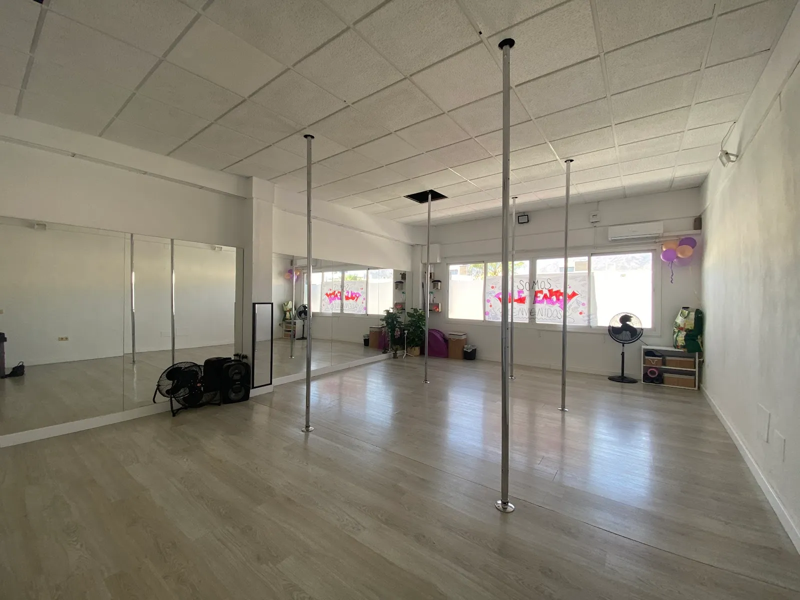 Pole Enjoy - Estudio de pole sport — pole fitness-studio en Las Lagunas de Mijas — 2