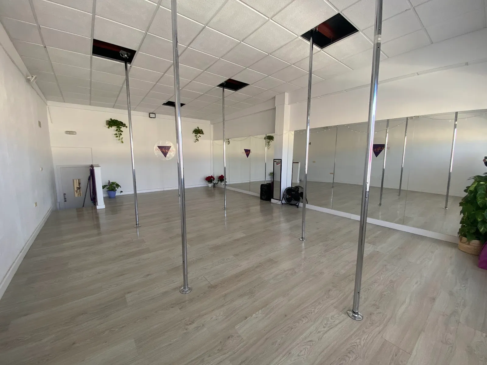 Pole Enjoy - Estudio de pole sport — pole fitness-studio en Las Lagunas de Mijas — 5