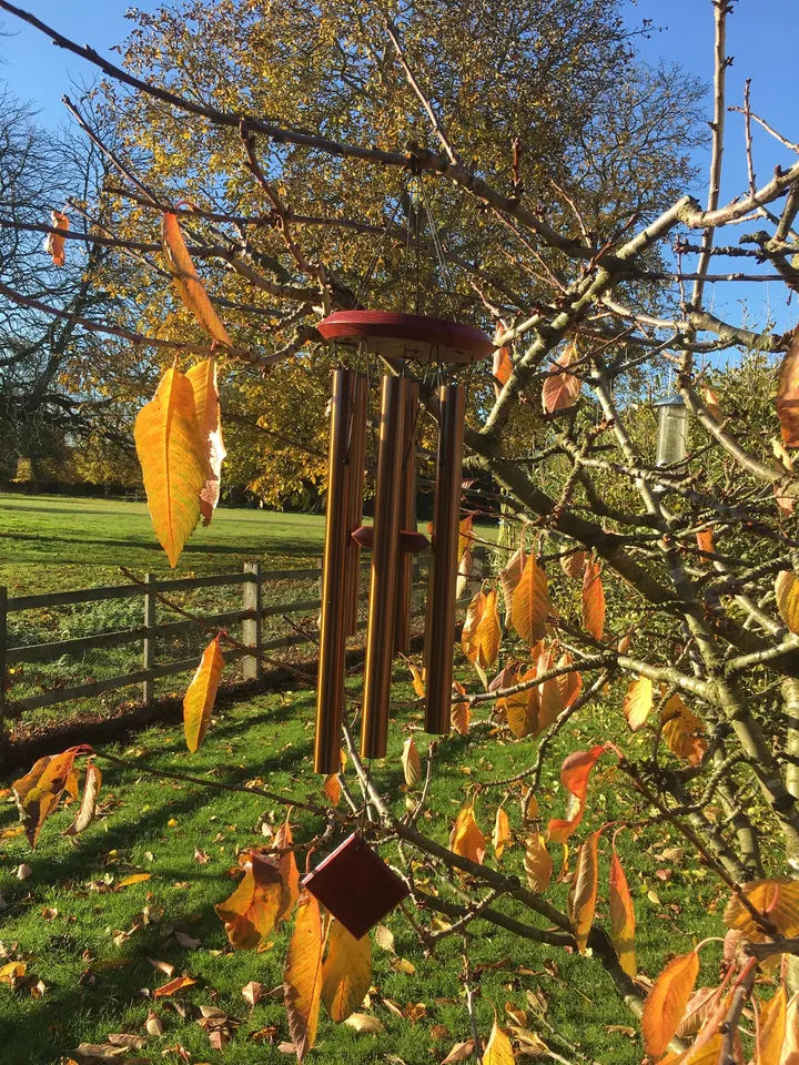 Ann's Yoga Lounge — yoga-studio in Sleaford — 5