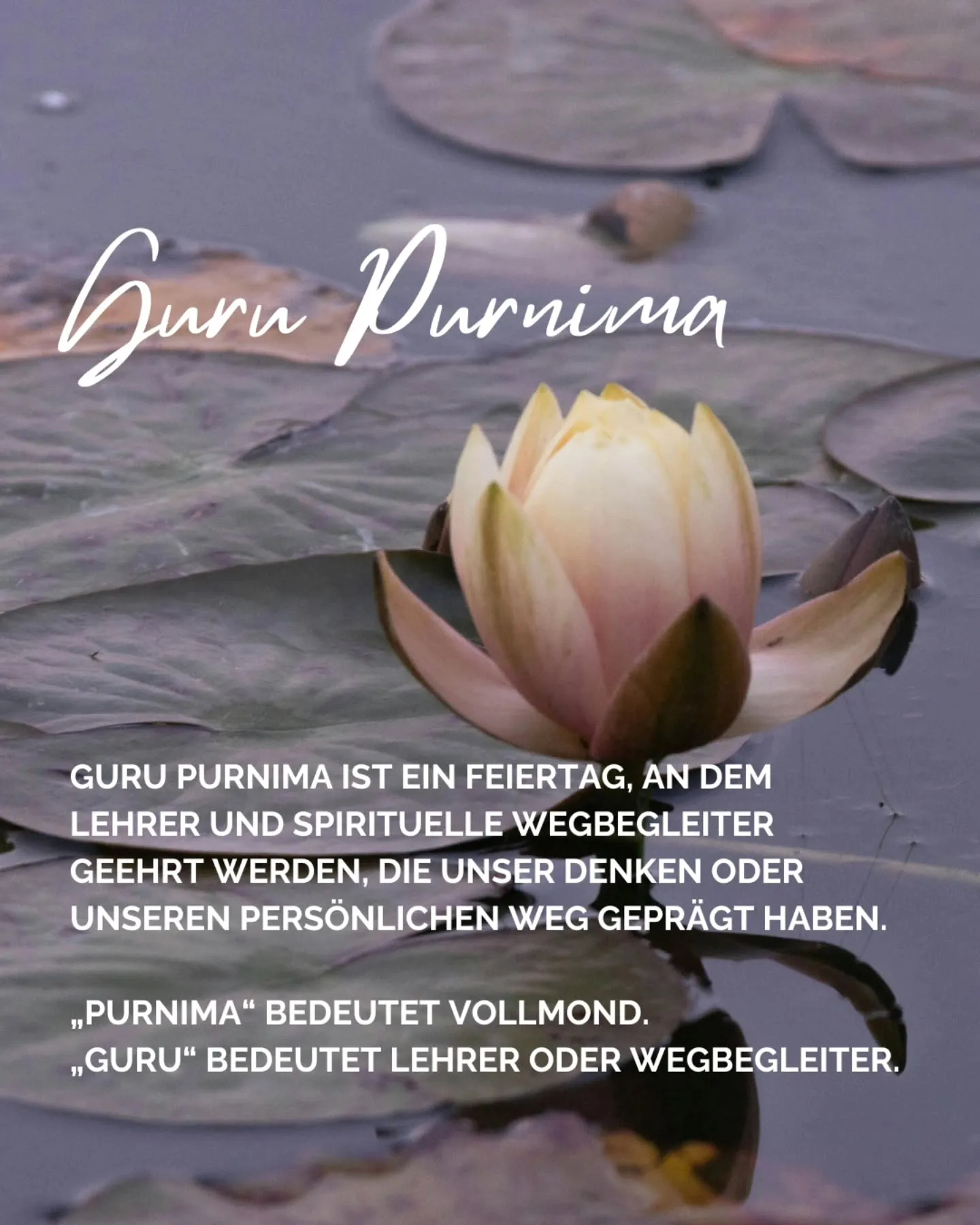 Om Shanti Yoga — yoga-studio i Bamberg — 2