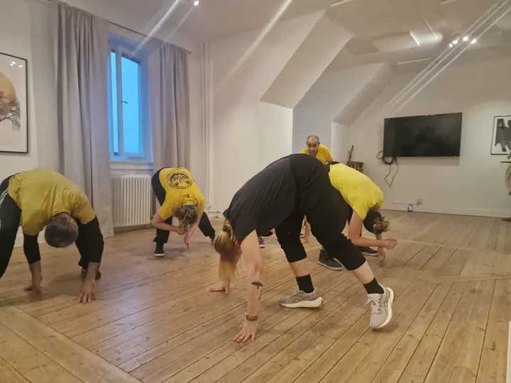 Capoeira Angoleiros do Mar Stockholm — martial arts-studio i Vasastan, Stockholm