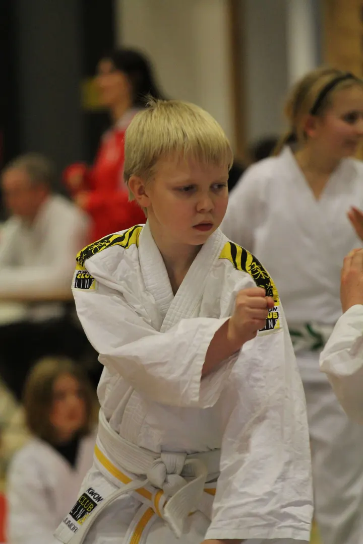 Goshin-jitsu Kai Danmark — Kampsport i Hvidovre, København