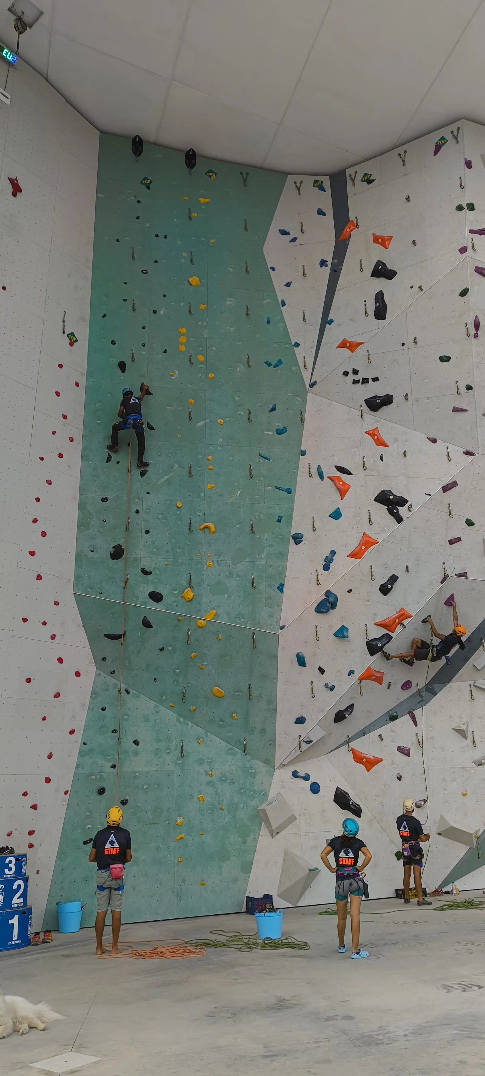 Rocódromo de Estepona — escalada-studio en Estepona — 4