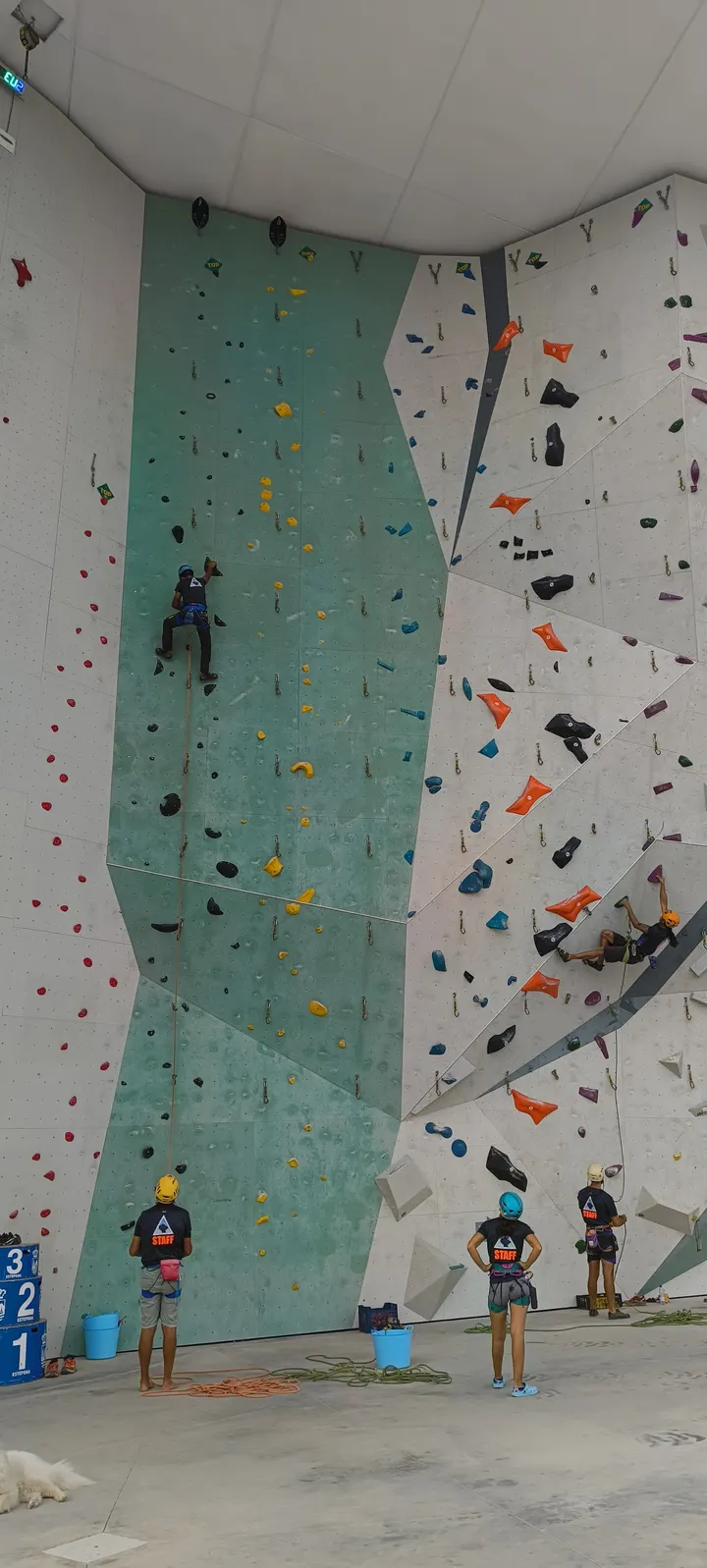 Rocódromo de Estepona — escalada-studio en Estepona — 4