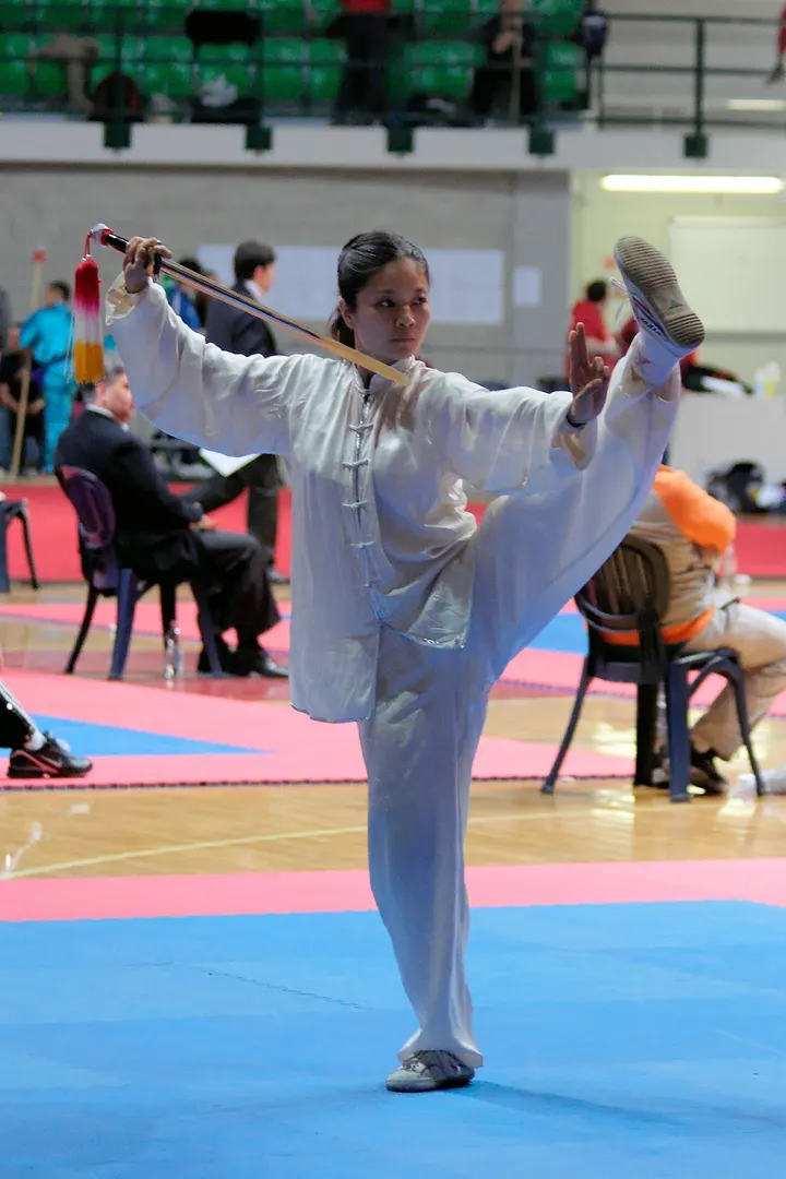 Ecole de Wushu Yang — arts martiaux-studio à Carabacel, Nice — 2