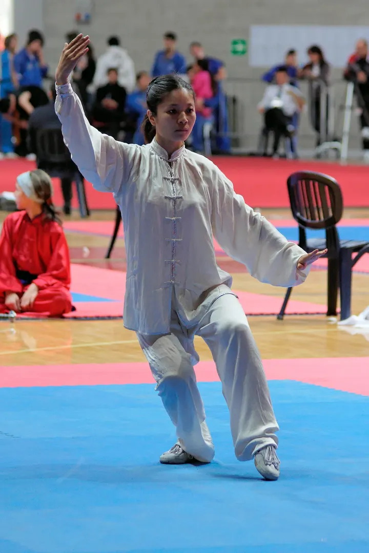Ecole de Wushu Yang — arts martiaux-studio à Carabacel, Nice — 3