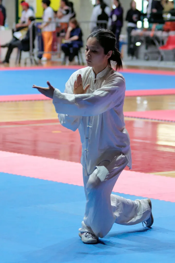 Ecole de Wushu Yang — arts martiaux-studio à Nice — 3
