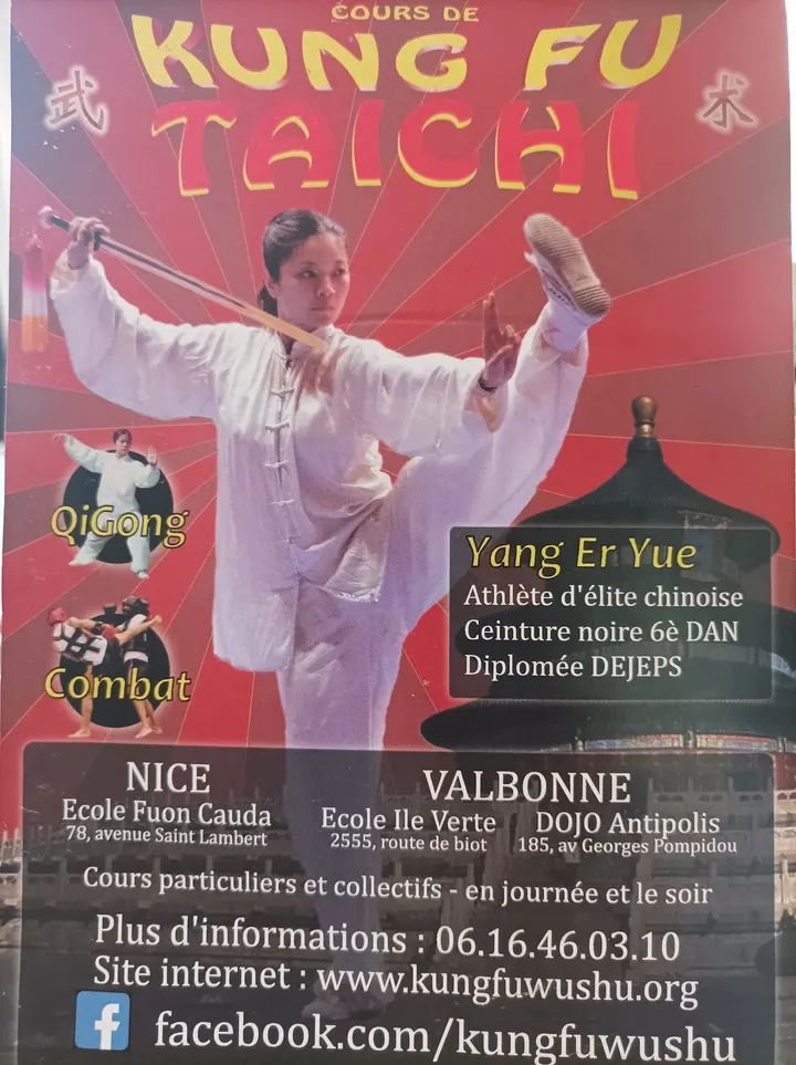 Ecole de Wushu Yang — Arts martiaux à Carabacel, Nice