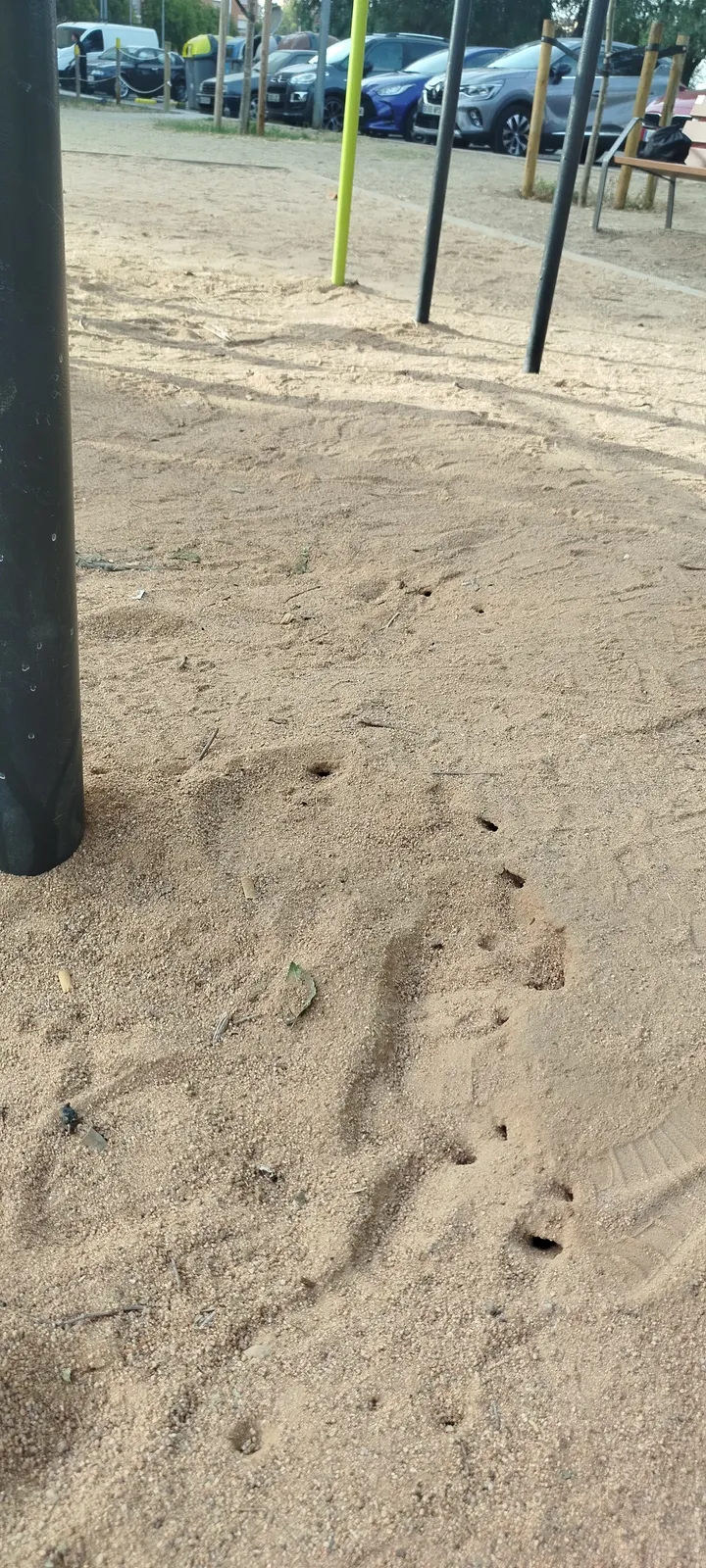 Calistenia street workout — Estudio de fitness en Can Boada del Pi, Terrassa