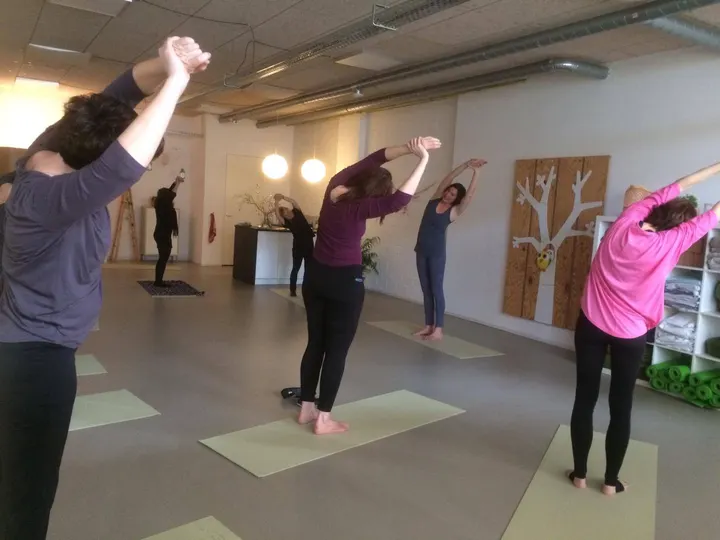 CoVita — yoga-studio in Stadswerven, Dordrecht — 3