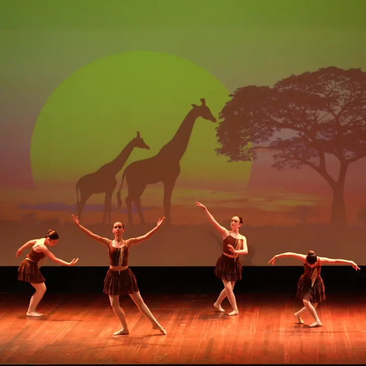 Danza Susana Castro — baile-studio en Vigo — 4