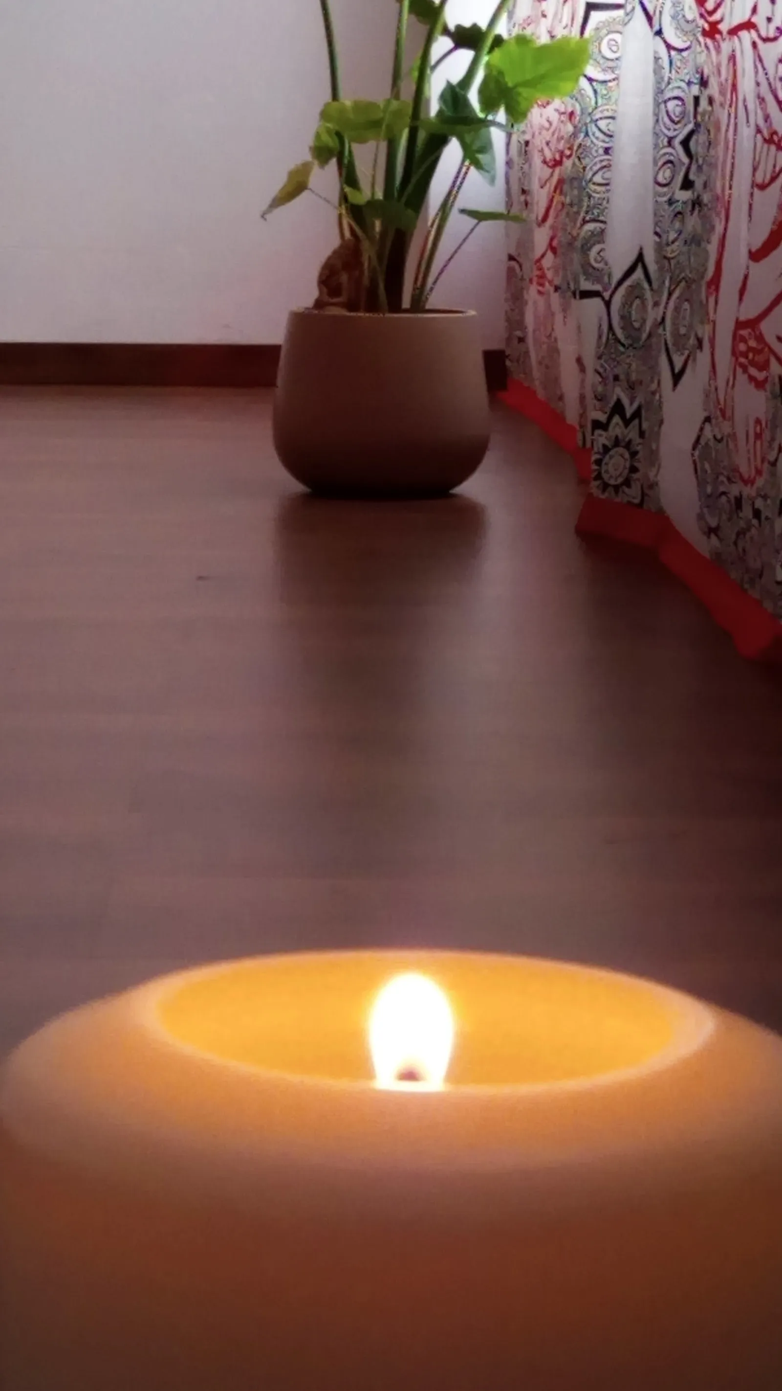 Prácticamente Yoga — yoga-studio en Olesa de Montserrat — 4