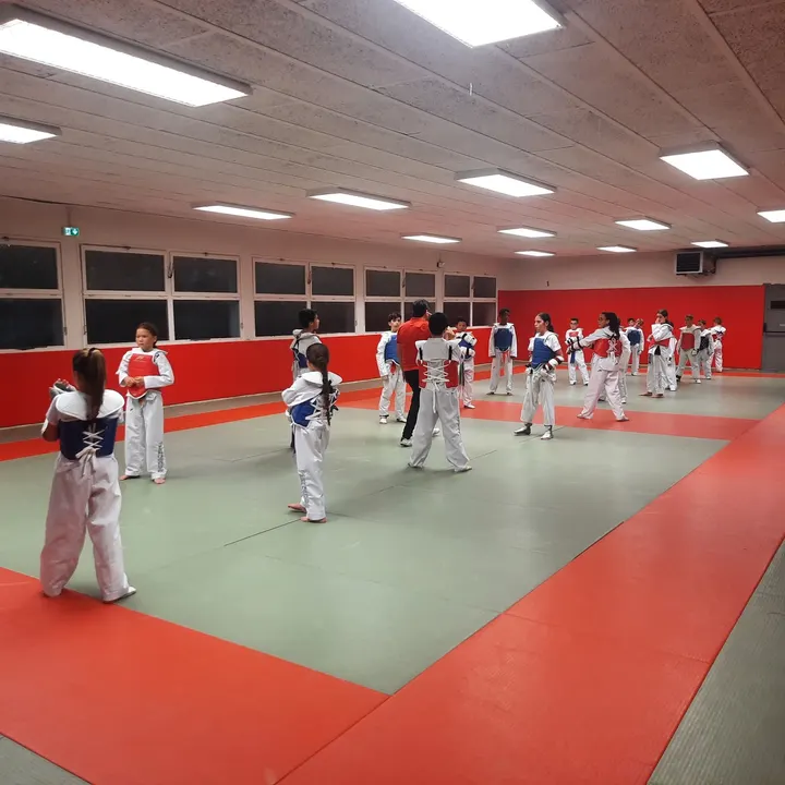 Lyon Métropole Taekwondo — arts martiaux-studio à Lyon 2e Arrondissement, Lyon — 3