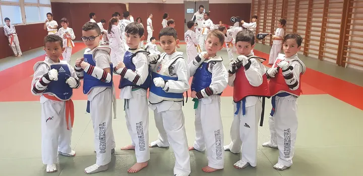 Lyon Métropole Taekwondo — arts martiaux-studio à Lyon — 4
