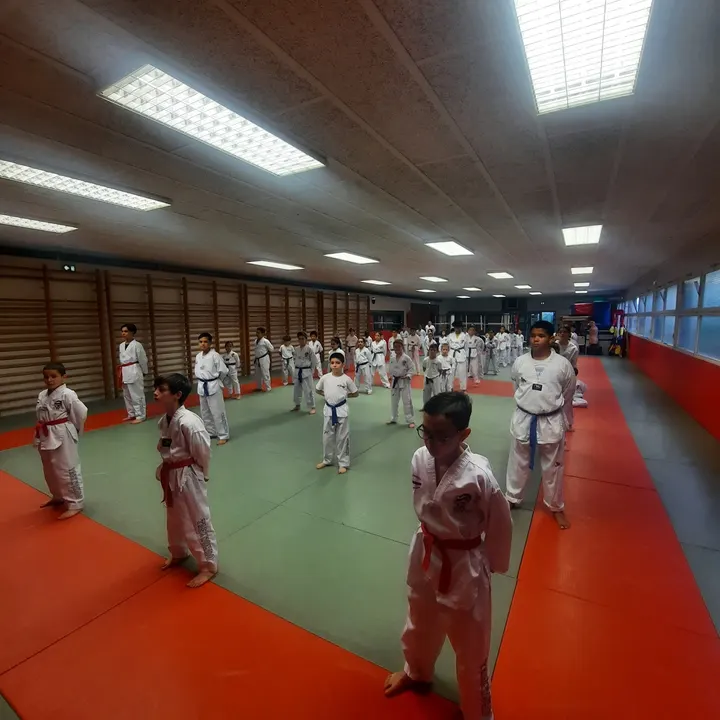 Lyon Métropole Taekwondo — Arts martiaux à Lyon 2e Arrondissement, Lyon