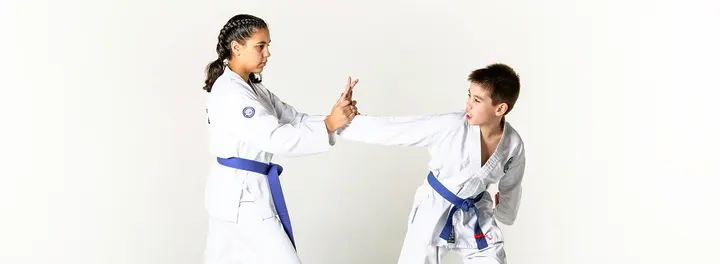 Taekwon-Do Academy Graziella Idili — vechtsport-studio in Abtswoude, Delft — 2
