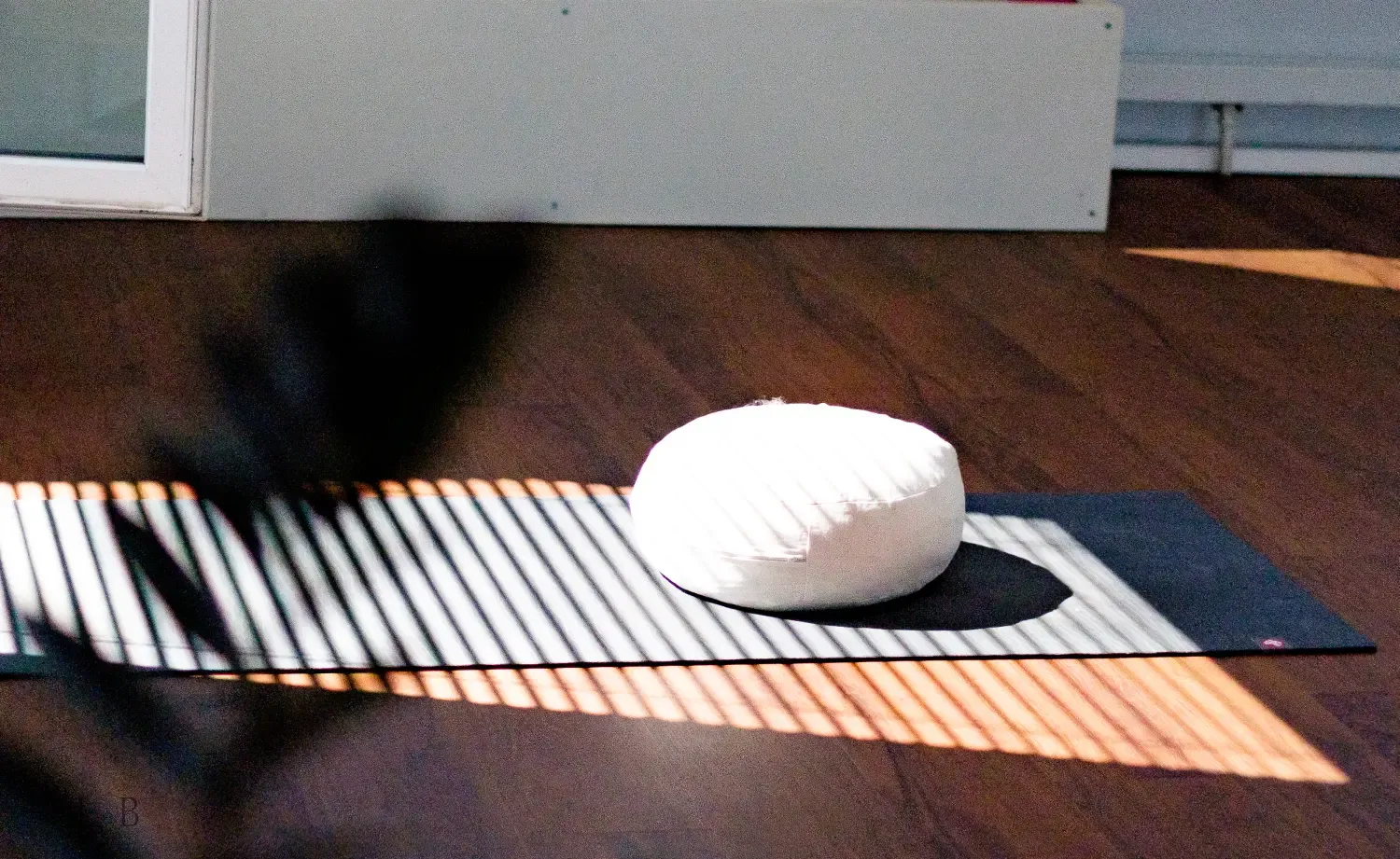 Yogazone — yoga-studio i Stuttgart — 3