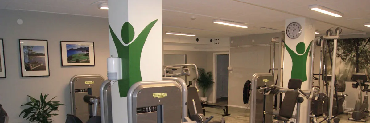 Landa motion & träning — träningsstudio-studio i Kristinehamn — bild 2